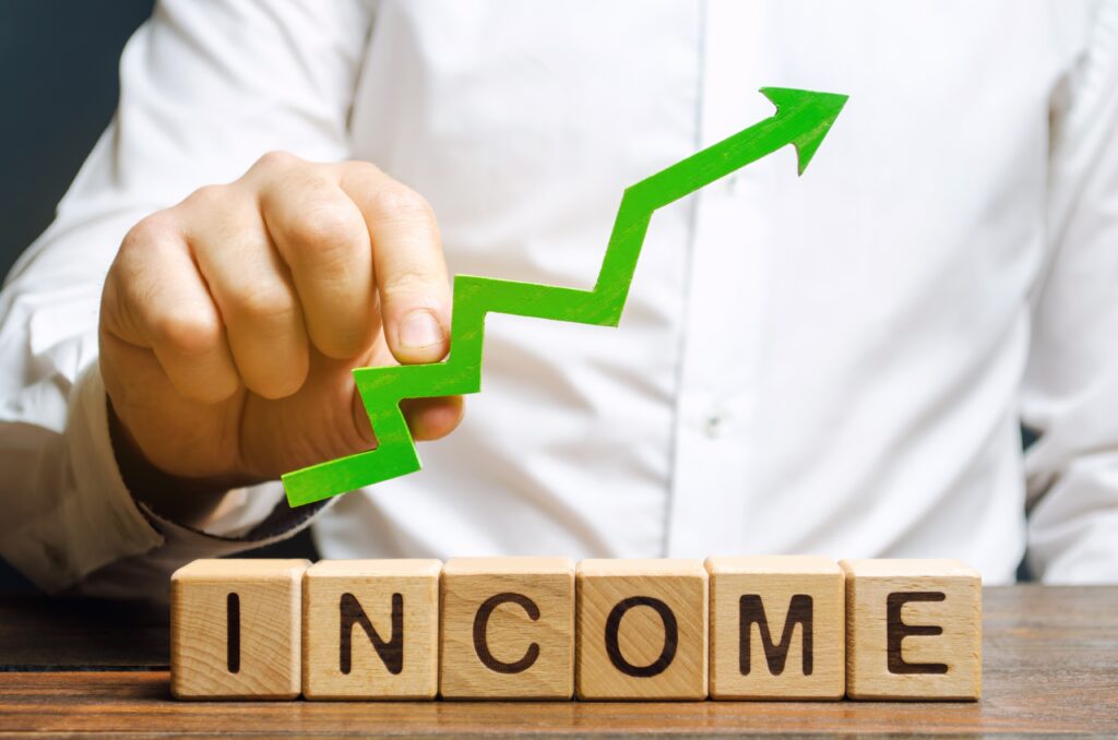 Maximising Your Employment Income